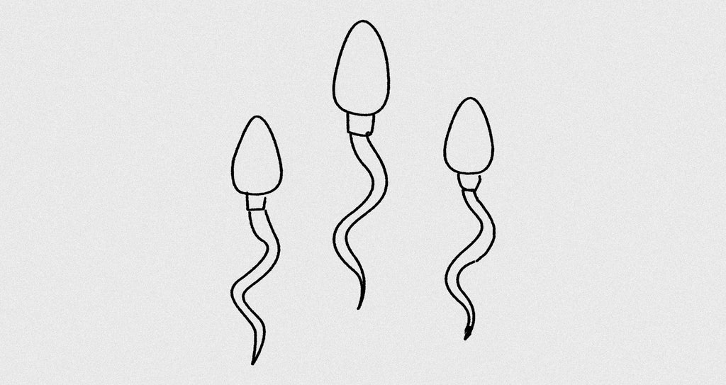 Some Sperm Donors Lied About Their Medical History